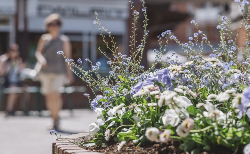 Blommor på torget i Huddinge centrum. 