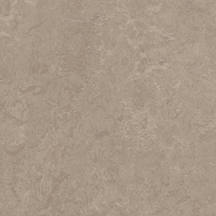 Medium 3252 Sparrow