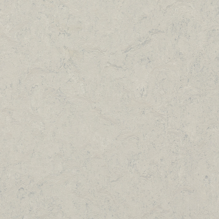 Medium-3860 Silver Shadow