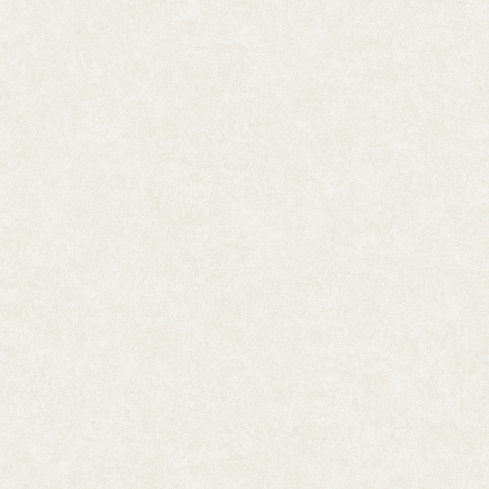 3551 Surface