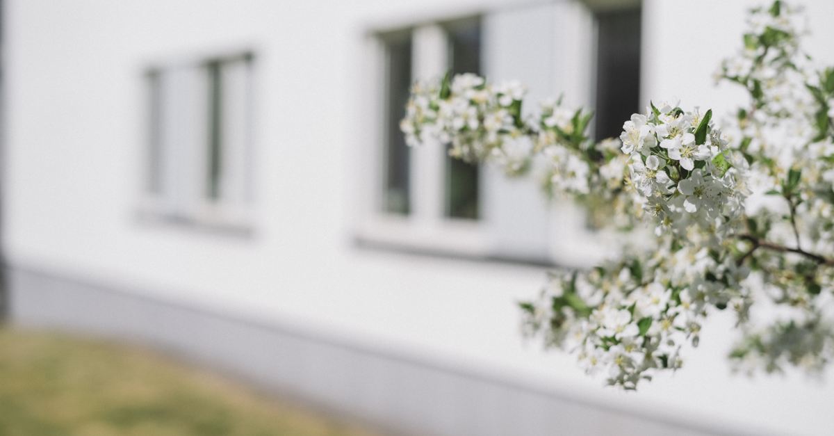 Vita blommor i förgrunden av en vit husfasad. 
