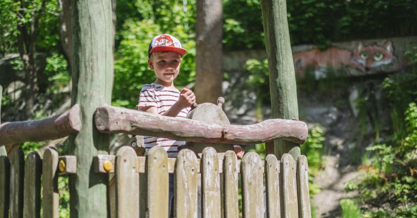 pojke i lekpark