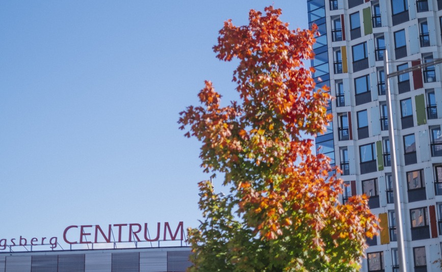 Färgsprakande träd i förgrunden av fastigheten Medicinaren 21