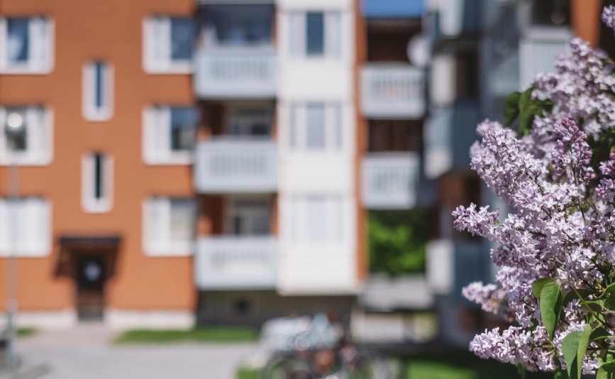 Grönskande innergård på Föbodvägen i Skogås.