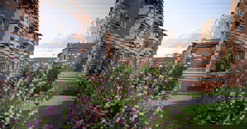 Vy över Huddinge centrum med blommor i förgrunden