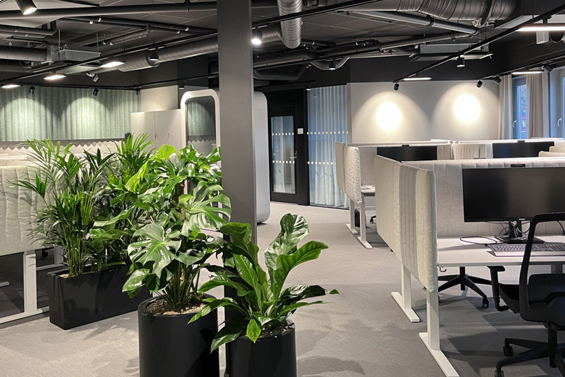 Träffa våra hyresgäster